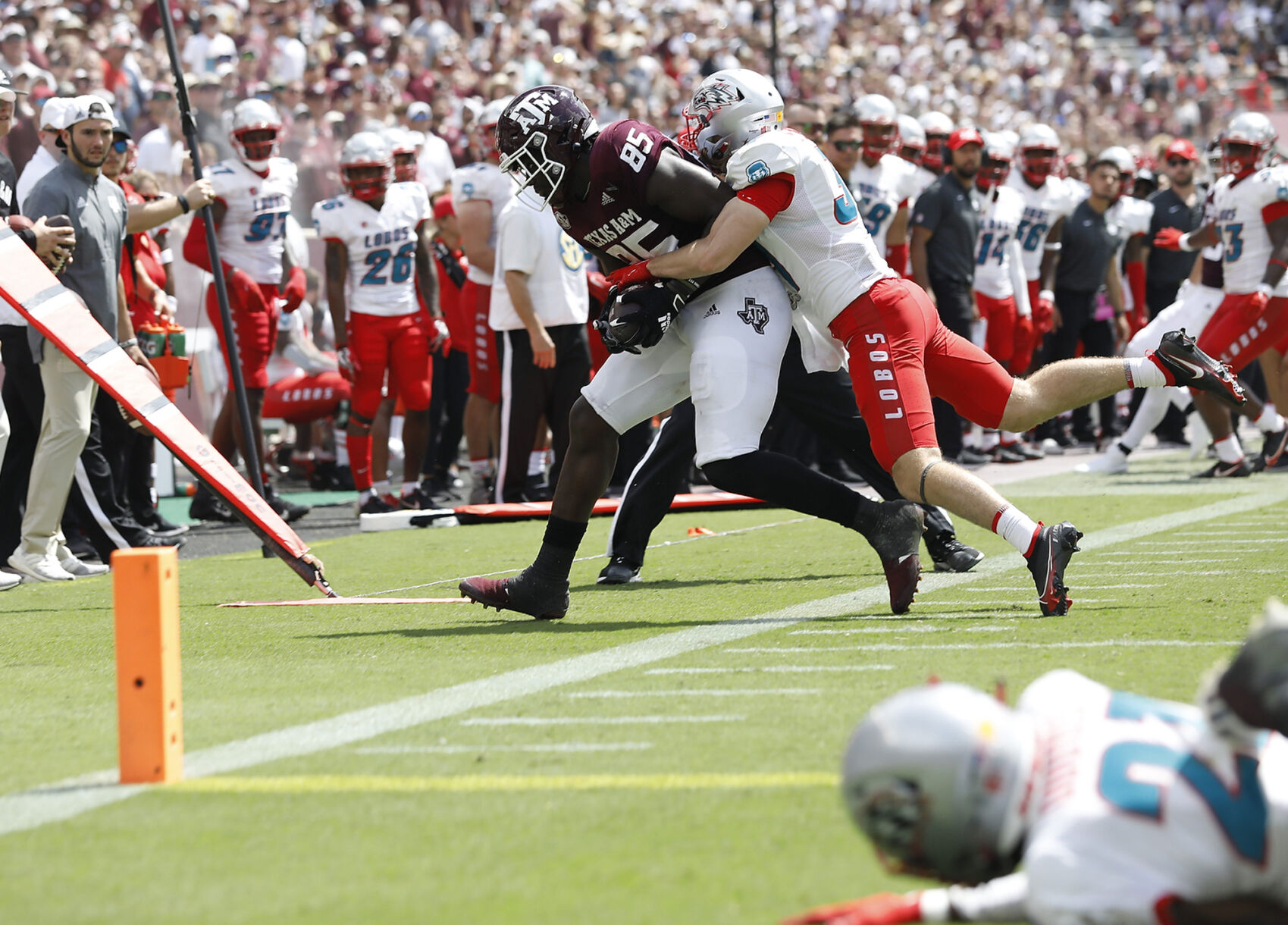 Texas A&M vs New Mexico
